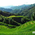 Sapa - Bac Ha Trek Tour - Night Train & Bus & Homestay overnight - FAQs