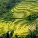 Sapa: Full-Day Private Muong Hoa Valley Tour - An In-Depth Look at the Muong Hoa Valley Tour
