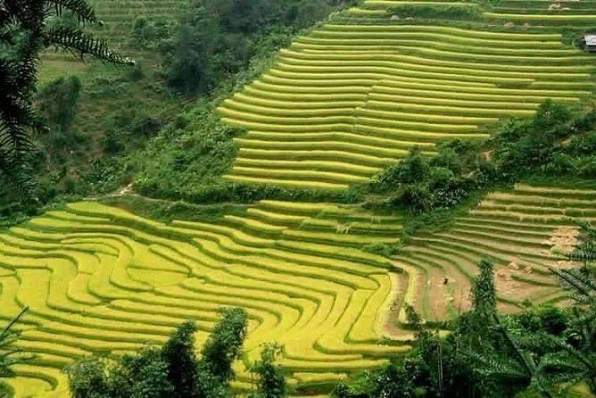 Sapa: Full-Day Private Muong Hoa Valley Tour - An In-Depth Look at the Muong Hoa Valley Tour