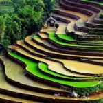 Sapa Hard Trekking by Bus for 2 days - Homestay Experience: Connecting with Local Life