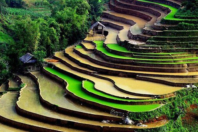 Sapa Hard Trekking by Bus for 2 days - Homestay Experience: Connecting with Local Life