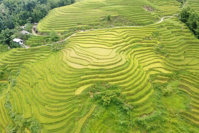 Sapa Journey 3D2N: 3 Star Hotel Stay & Village Homestay - Day 3: Exploring Red Dao Villages & Return