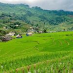 Sapa, Muong Hoa Valley - 1 Day Hiking & Cultural Experience - Who Is This Tour Best For?