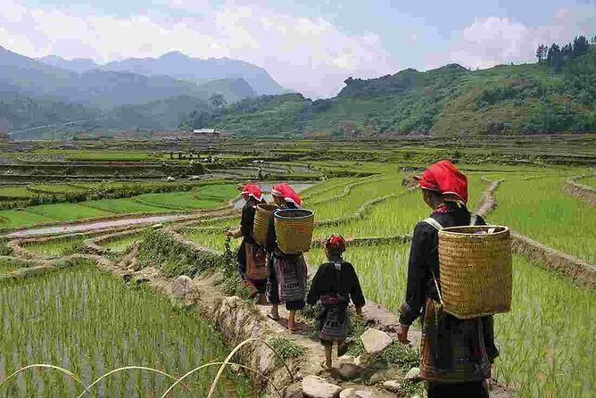 Sapa Private Trekking Through Rice Terraced Fields - 1Day - The Itinerary Breakdown