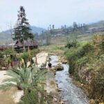 Sapa Trek Tour with Sleeper Bus/Night Train - Overnight at Hotel - The Value of This Tour