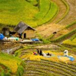 Sapa Villages trekking and homestay 2 Days/ 1 night package tour: best selling - The Price Point and Overall Value