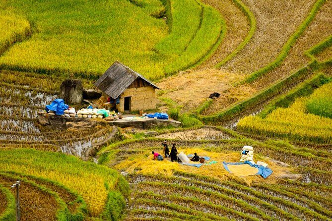 Sapa Villages trekking and homestay 2 Days/ 1 night package tour: best selling - The Price Point and Overall Value