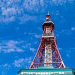Sapporo 4hr Private Tour with Government Licensed Guide - Key Points