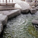 Sapporo Private Sightseeing Tour in Onsen with Special Package - What’s Included and What’s Not