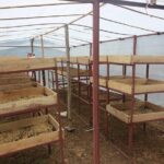 Sarangkot Village Coffee Culture and Authentic Local Life Tour - The Real Value of This Tour