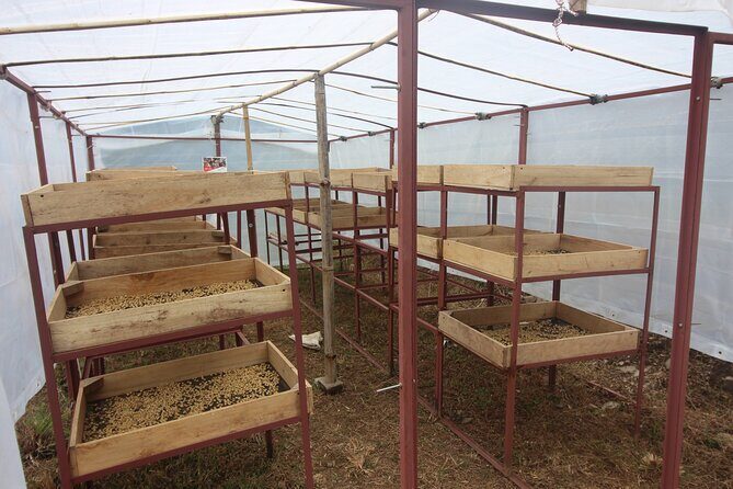 Sarangkot Village Coffee Culture and Authentic Local Life Tour - The Real Value of This Tour