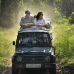 Sariska Tiger Reserve Safari tour from Jaipur - The Sum Up