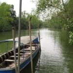 Scenic River Trip on the Pranburi River - Discovering the Pranburi River: What to Expect