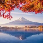 Scenic Spots of Mt Fuji and Lake Kawaguchi 1 Day Bus Tour - A Closer Look at the Value