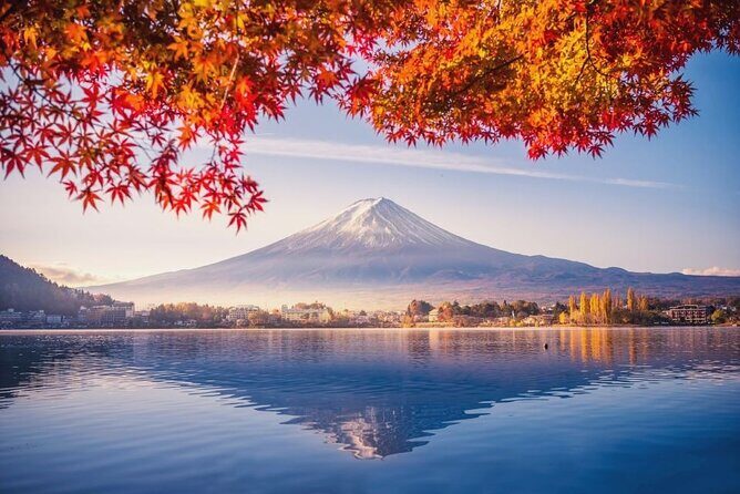 Scenic Spots of Mt Fuji and Lake Kawaguchi 1 Day Bus Tour - A Closer Look at the Value