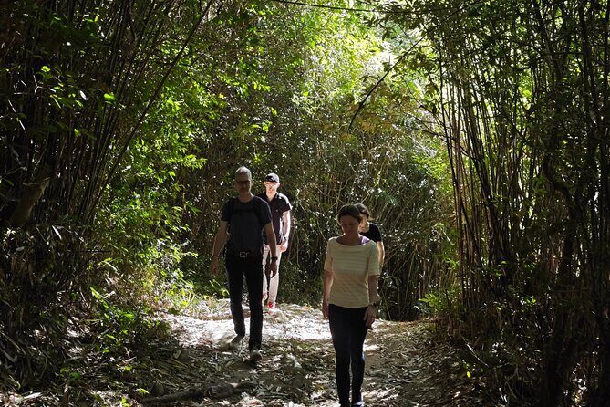 scooter and hiking trip in the rainforest - FAQs