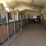 Scottsdale Horseback Riding and Horse Country Estate Tour - Final Thoughts