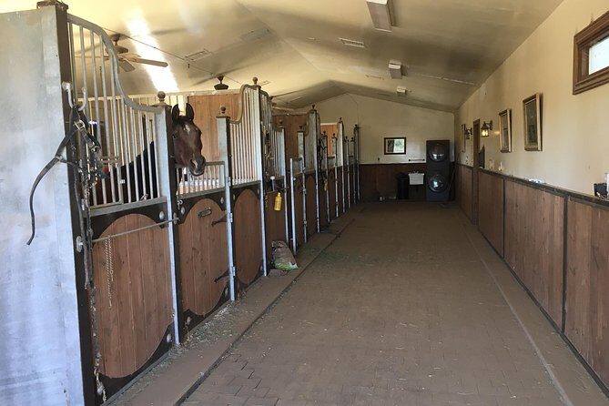 Scottsdale Horseback Riding and Horse Country Estate Tour - Final Thoughts