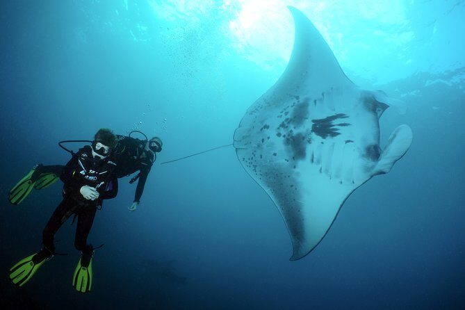 Scuba Diving 3 dives including Manta Rays at Nusa Penida - Who Would Love This Tour?