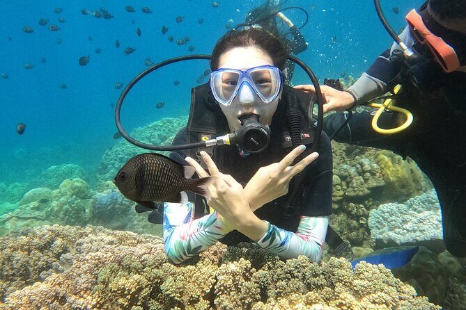 Scuba Diving Experience in Nha Trang Bay - Diving Equipment and Safety