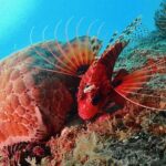 Scuba Diving For Beginners - Itinerary Breakdown