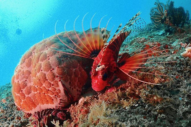 Scuba Diving For Beginners - Itinerary Breakdown