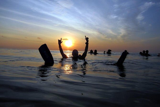 Scuba Diving Kata Beach Night Dive for Certified Divers - An In-Depth Look at the Kata Beach Night Dive
