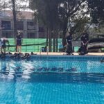Scuba diving lesson for beginners (1 hour ) - The Sum Up