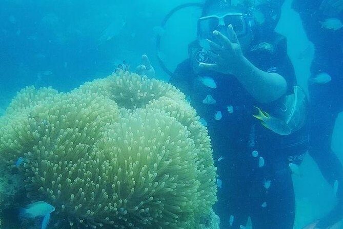 Scuba Diving (shore Dive) at Havelock Islands - Who Should Consider This Tour?