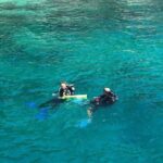 Scuba Diving Tour in Cham Island for certified divers or Beginners - Frequently Asked Questions
