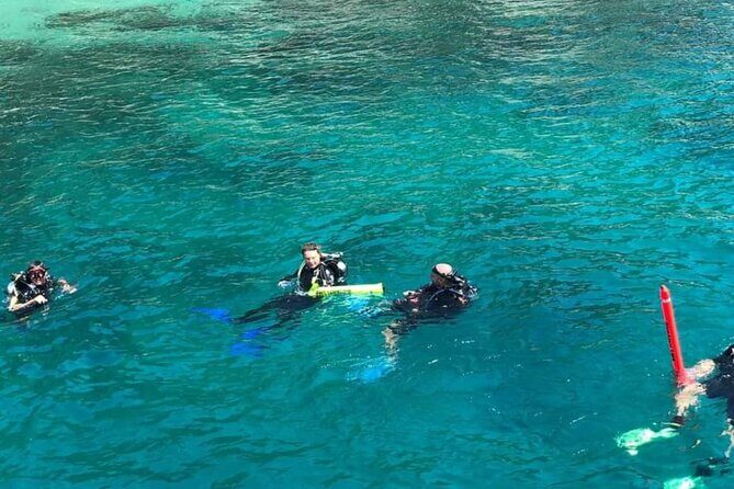 Scuba Diving Tour in Cham Island for certified divers or Beginners - Frequently Asked Questions