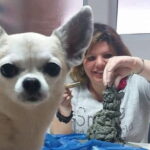 Sculpt to Florentine Pet - The Artistic Process and Special Features