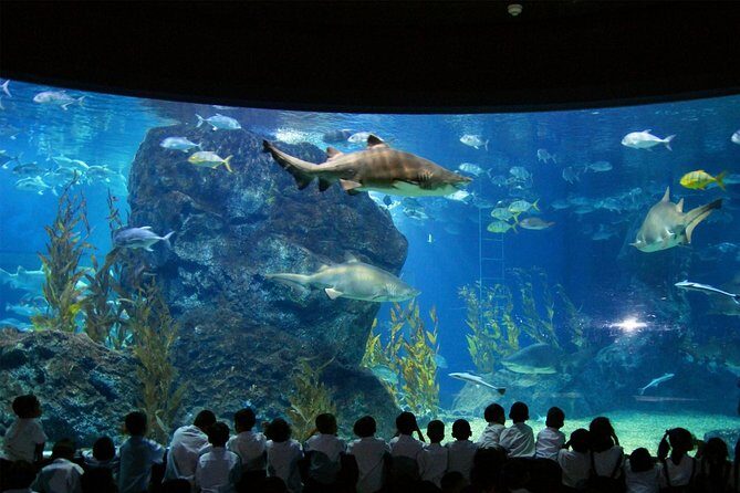 SEA LIFE & Madame Tussauds: Ultimate Bangkok Combo Ticket - FAQ