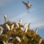 See the real Florida with a Private Nature and Wildlife Boat Tour - Why This Tour Offers Excellent Value
