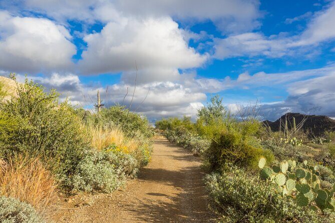 Self Guided Driving Audio Tour of Saguaro National Park - Who Should Consider This Tour?