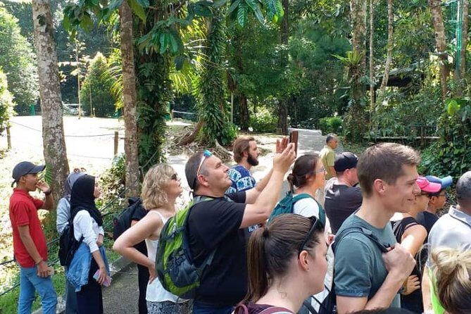 Semenggoh Orangutan Centre from Kuching - Final Thoughts