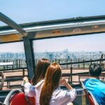 Seoul Hop-On Hop-Off Downtown Palace Course - Practical Insights from Reviews