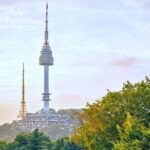 Seoul One Day Sightseeing Tour with N Tower and Lunch - FAQ