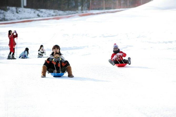 Seoul Ski Tour at Jisan Forest Resort - What to Expect at Jisan Forest Resort