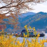 Seoul Vicinity 5 in 1: Nami Island, Garden of Morning Calm & More - What Does the Price Cover? Is the Value Right?