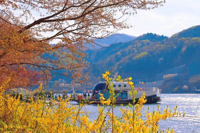 Seoul Vicinity 5 in 1: Nami Island, Garden of Morning Calm & More - What Does the Price Cover? Is the Value Right?