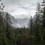 Sequoia Full Day Private Tour and Hike - The Itinerary Breakdown: What You’ll Experience