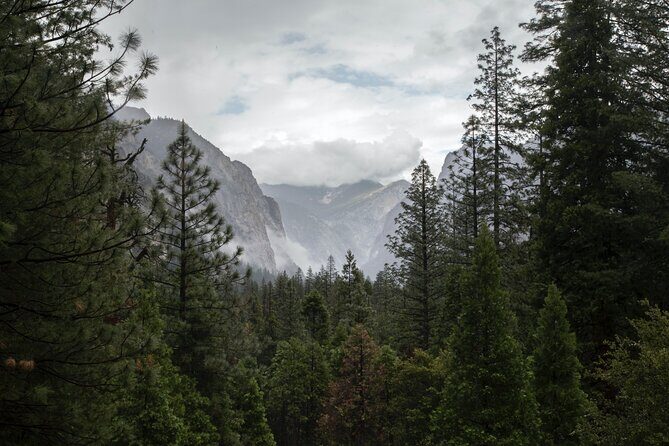 Sequoia Full Day Private Tour and Hike - The Itinerary Breakdown: What You’ll Experience