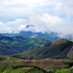 Serene Munnar Retreat: Private Tour from Kochi to the Munnar Hill - An In-depth Look at the Tour Itinerary