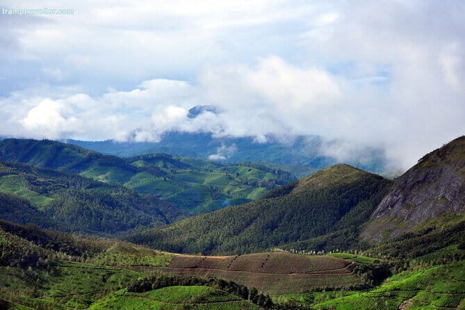 Serene Munnar Retreat: Private Tour from Kochi to the Munnar Hill - An In-depth Look at the Tour Itinerary