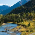 Seward to Anchorage Wildlife Adventure - Who Should Consider This Tour?