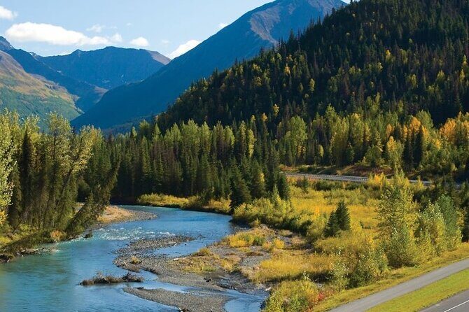 Seward to Anchorage Wildlife Adventure - Who Should Consider This Tour?
