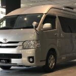 SG Cruise Arrival Transfer to Changi Airport - The Meet-and-Greet Experience