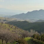 Shakhrisabz Private Day Tour from Samarkand - Practical Details and What You Need to Know