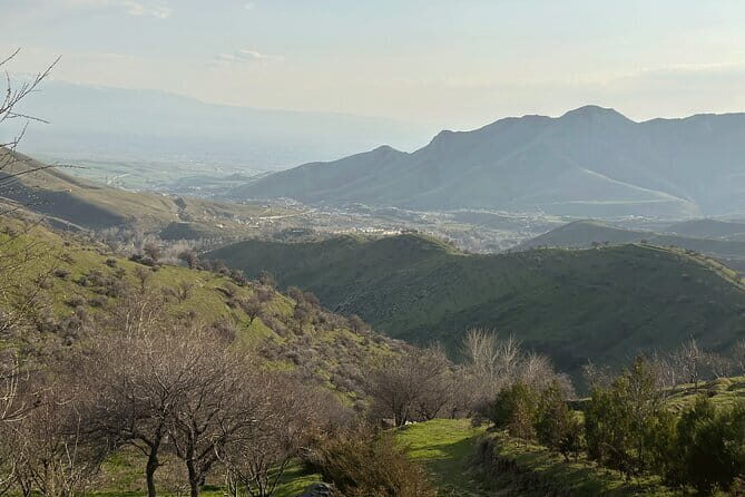 Shakhrisabz Private Day Tour from Samarkand - Practical Details and What You Need to Know